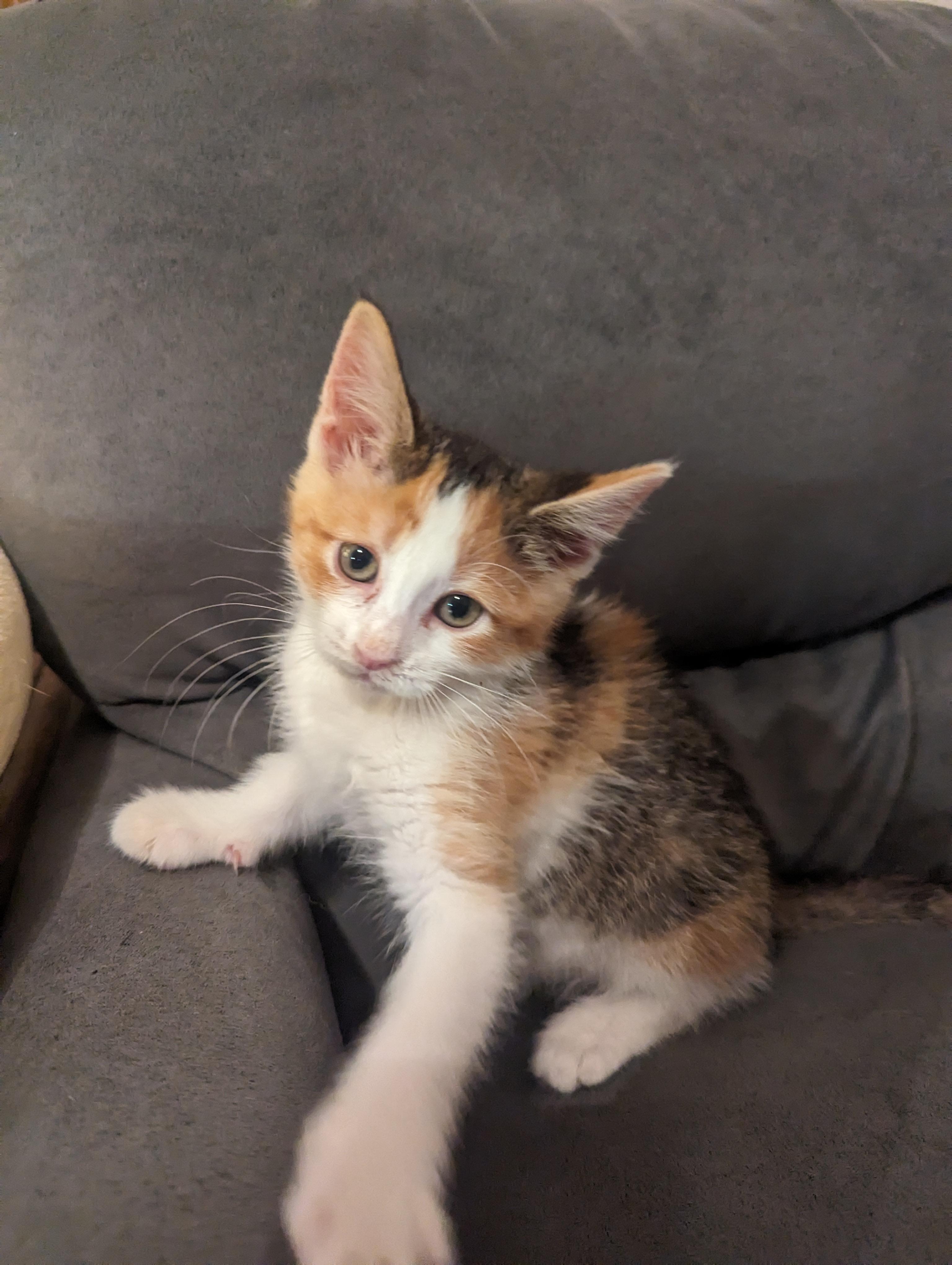 Lucy