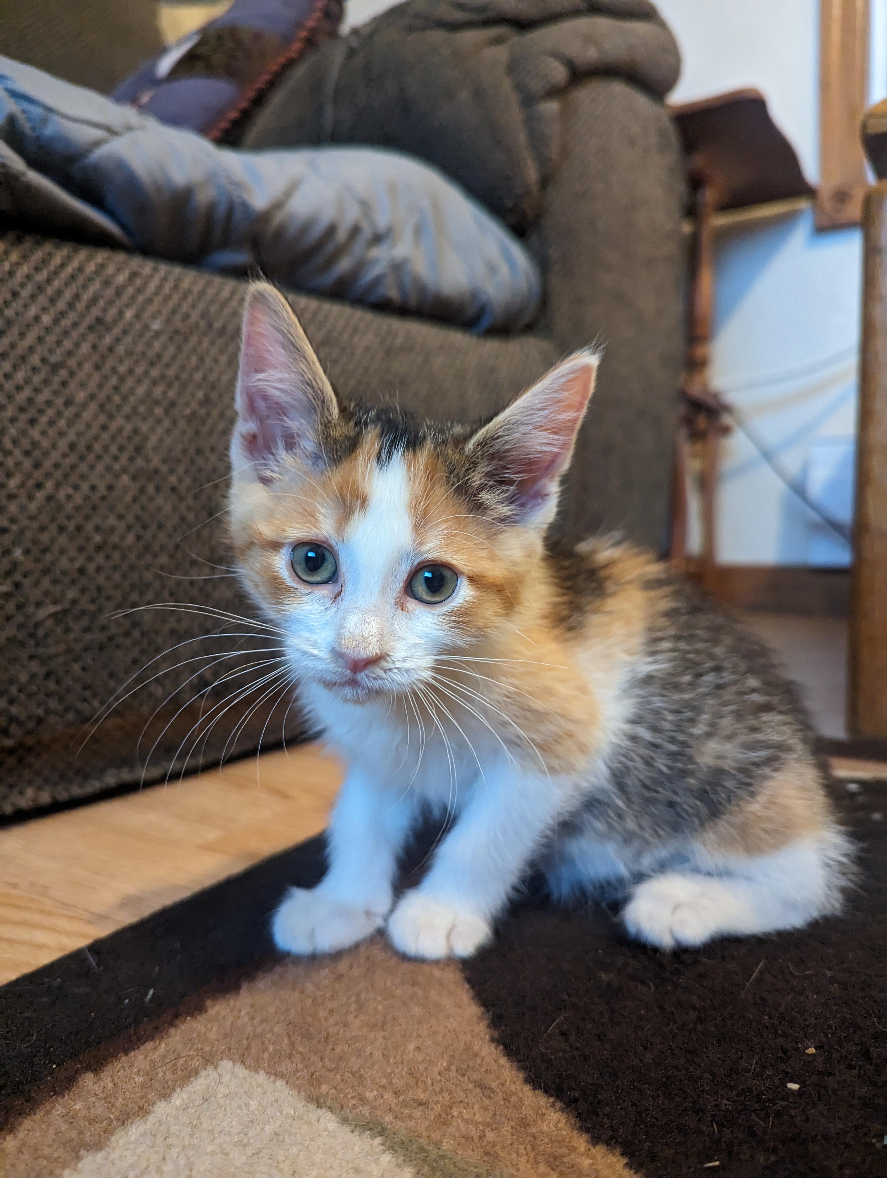 Lucy