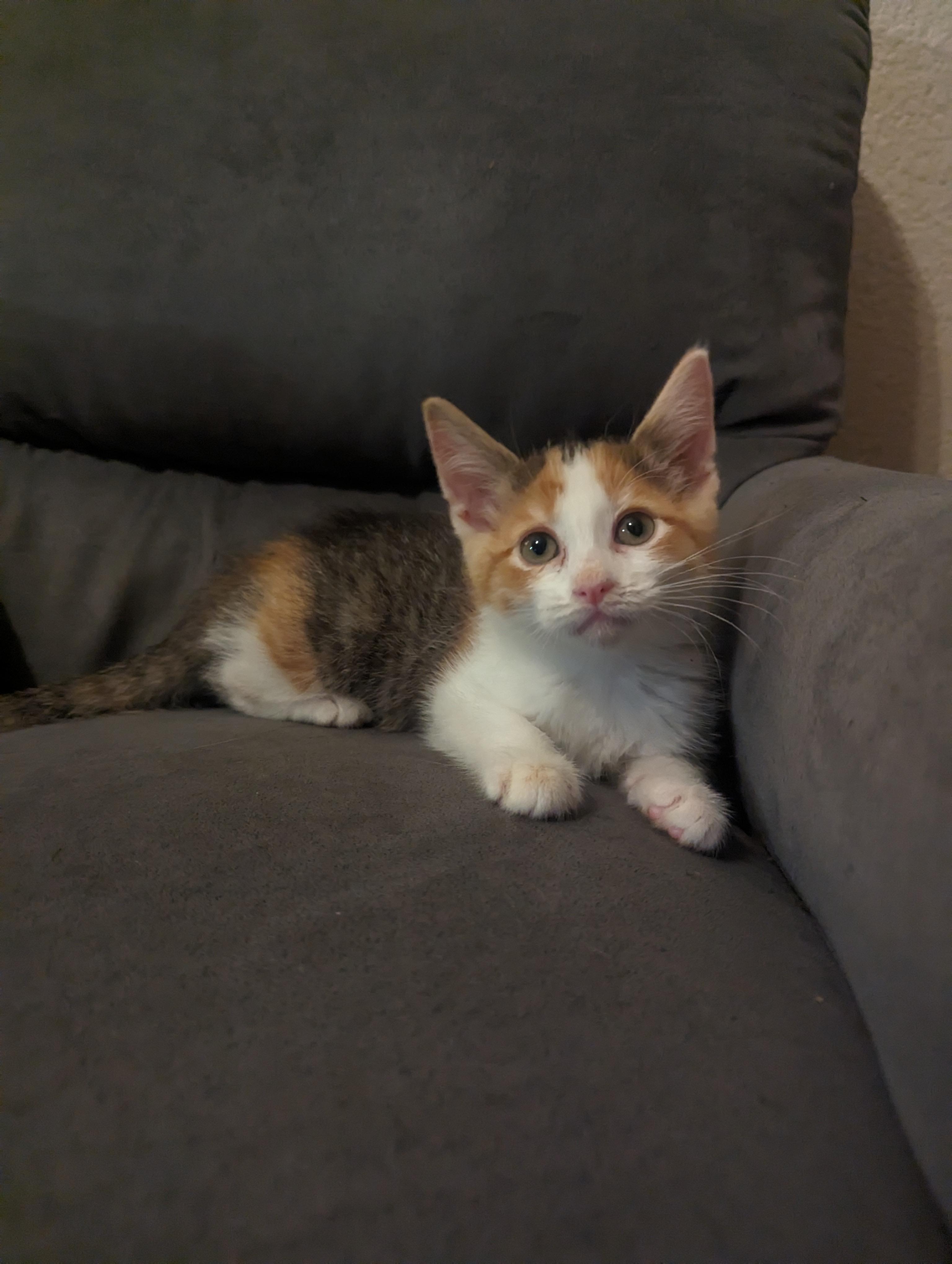 Lucy
