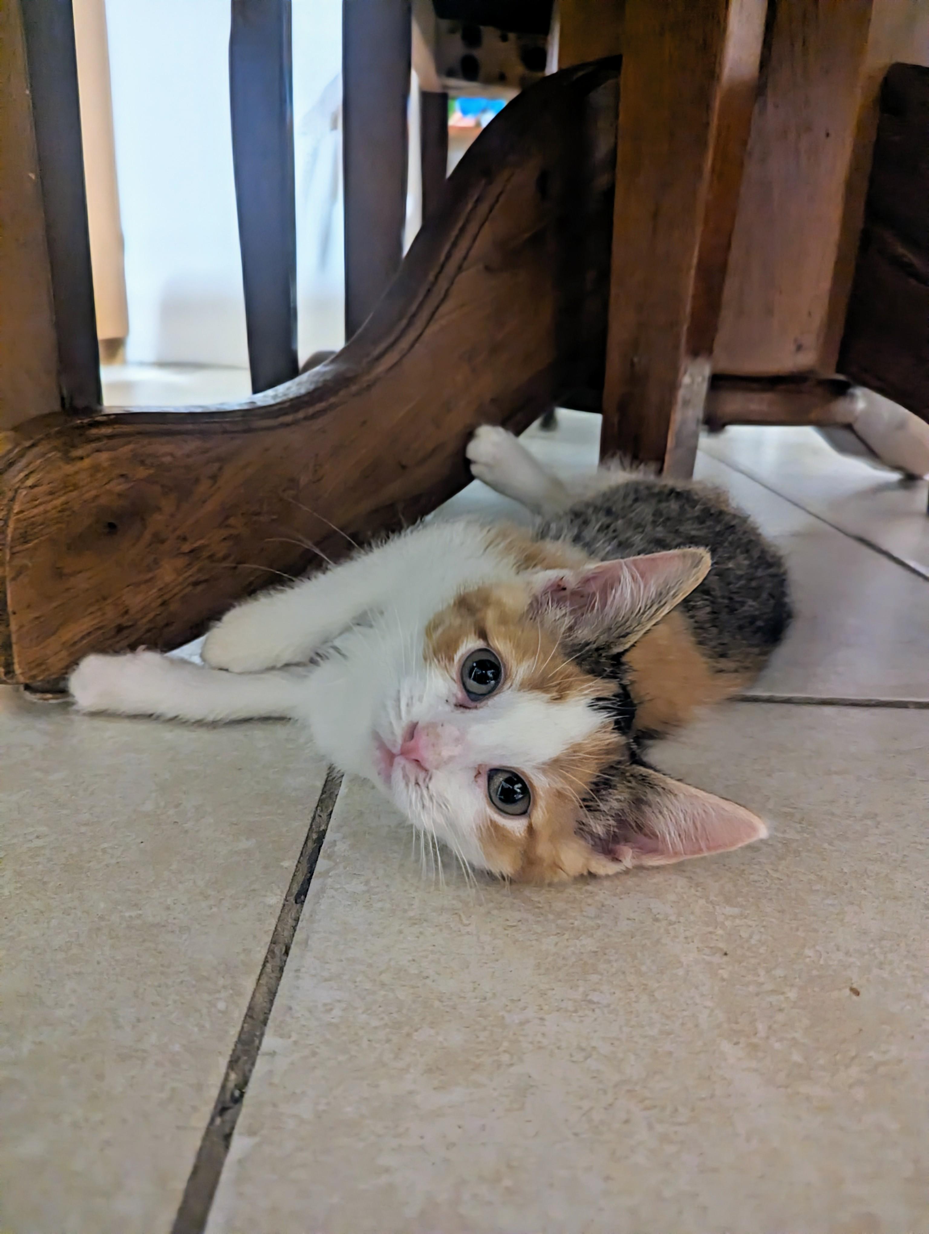 Lucy