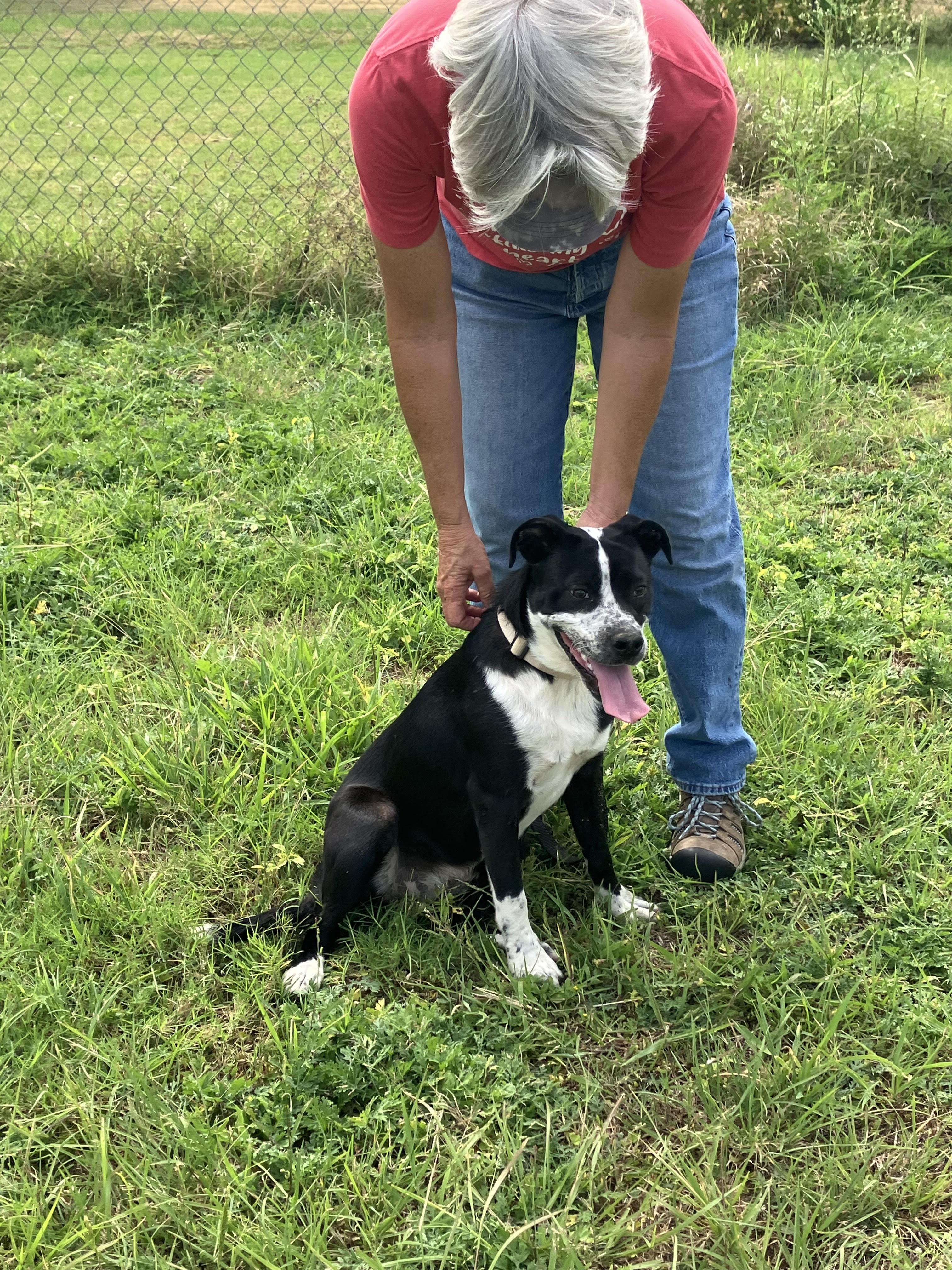 Izzy-goofy Gal thumbnail 4