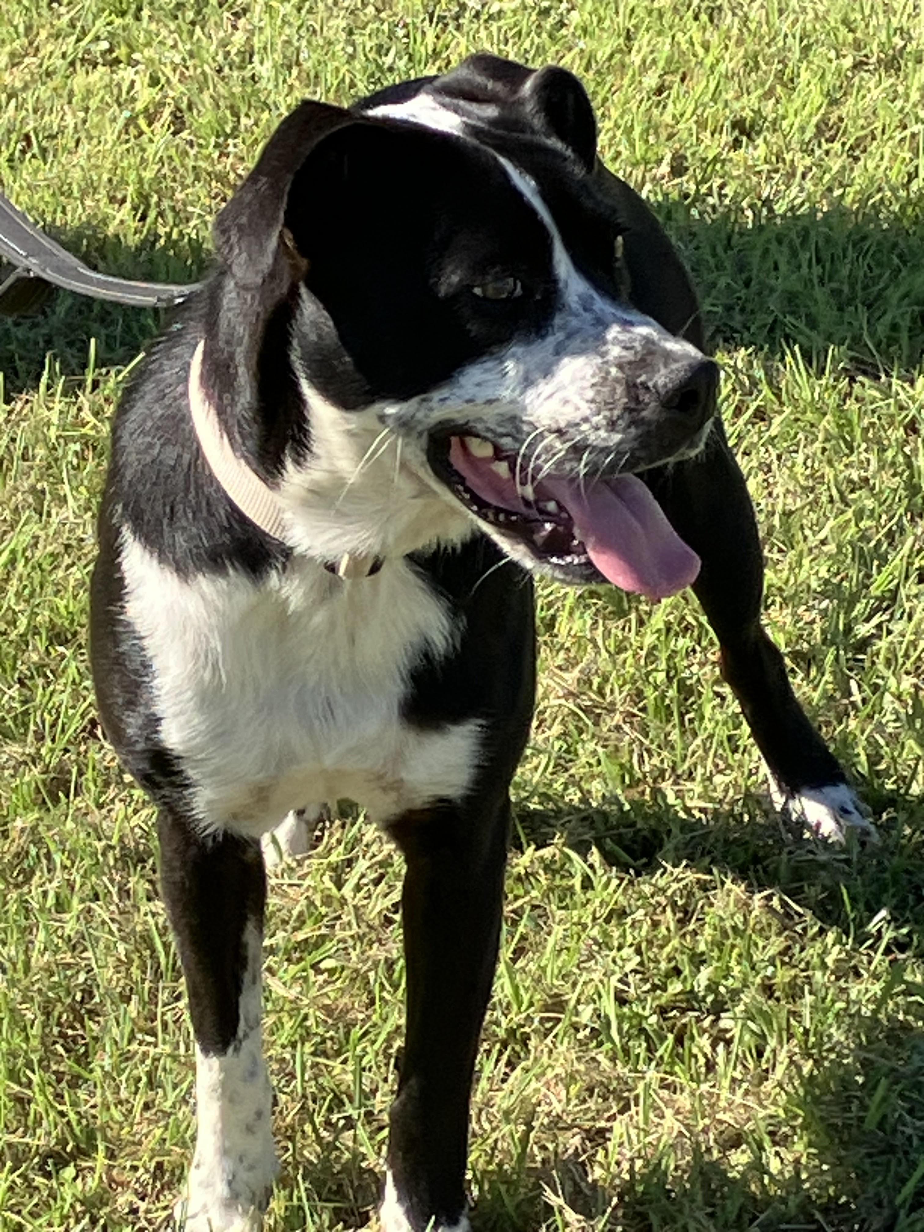 Izzy-goofy Gal thumbnail 3