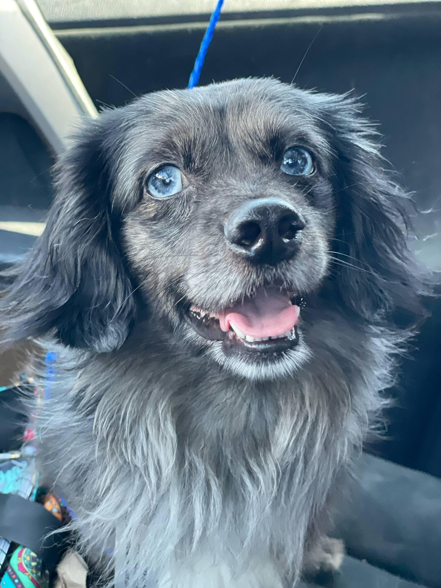 Frank Sinatra "sonny"