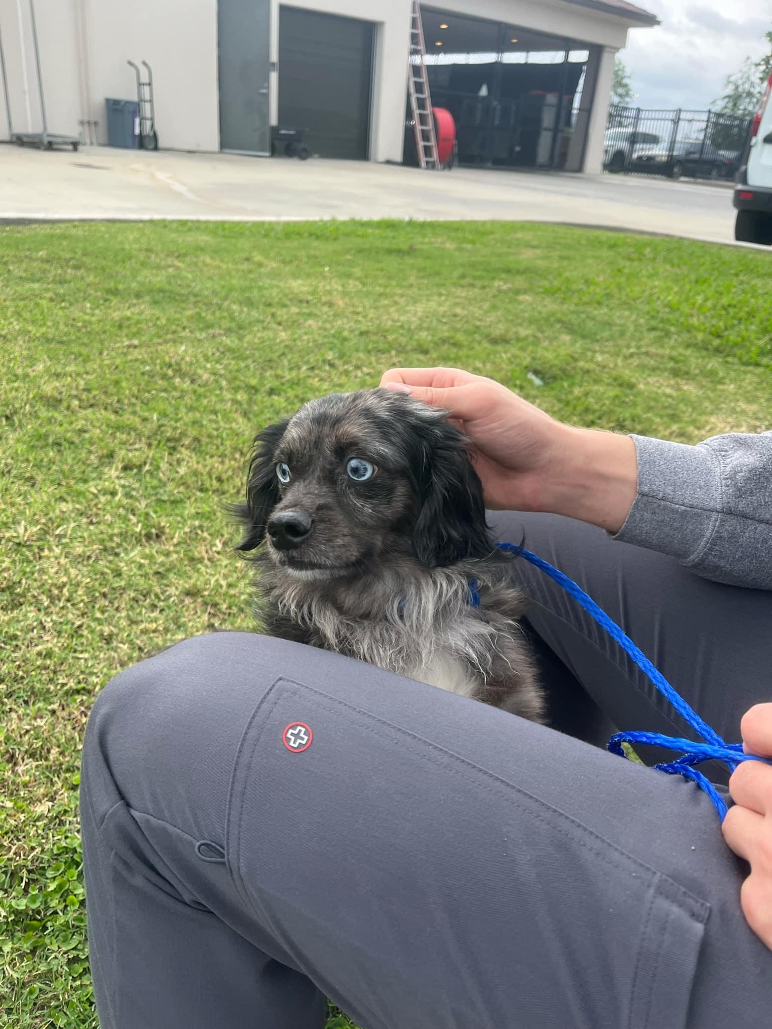 Frank Sinatra "sonny" thumbnail 3