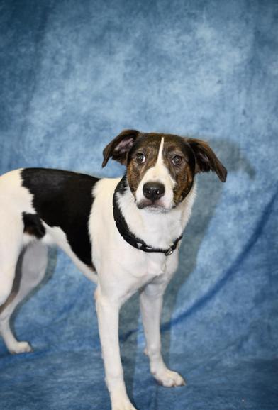 Reeba — thumbnail 2