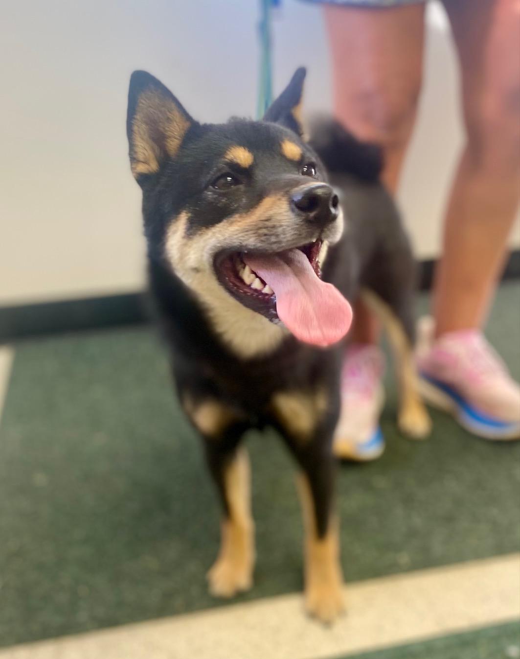 COURTESY POST FOR WASA:  Rory