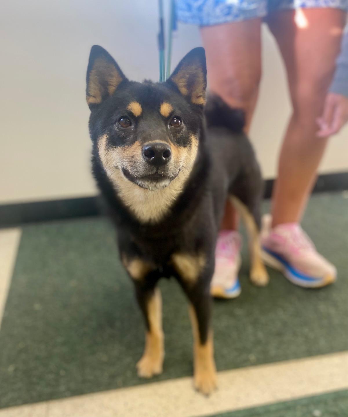 COURTESY POST FOR WASA:  Rory