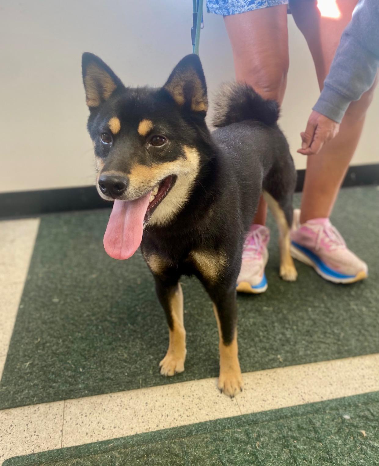 COURTESY POST FOR WASA:  Rory