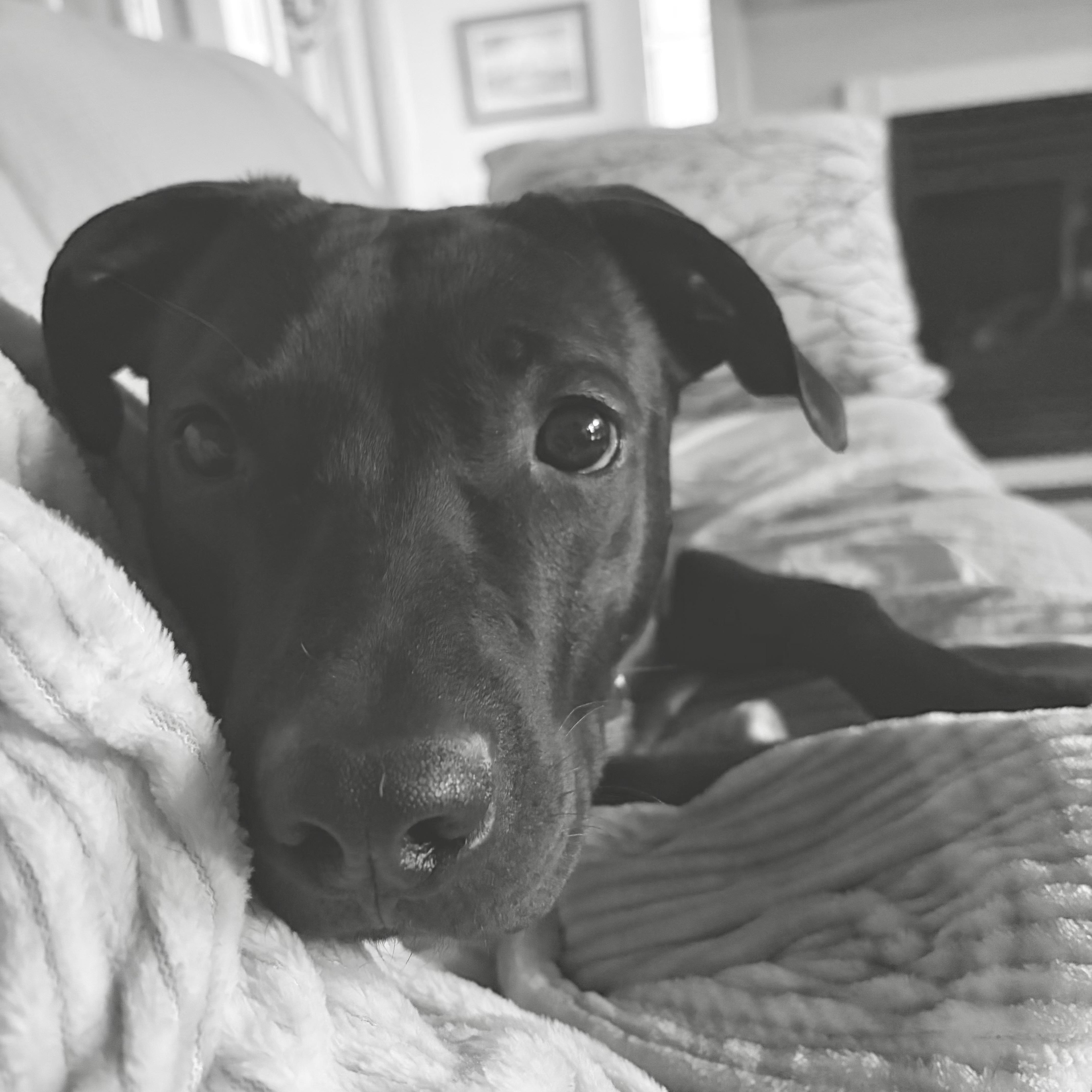 Vista — thumbnail 3