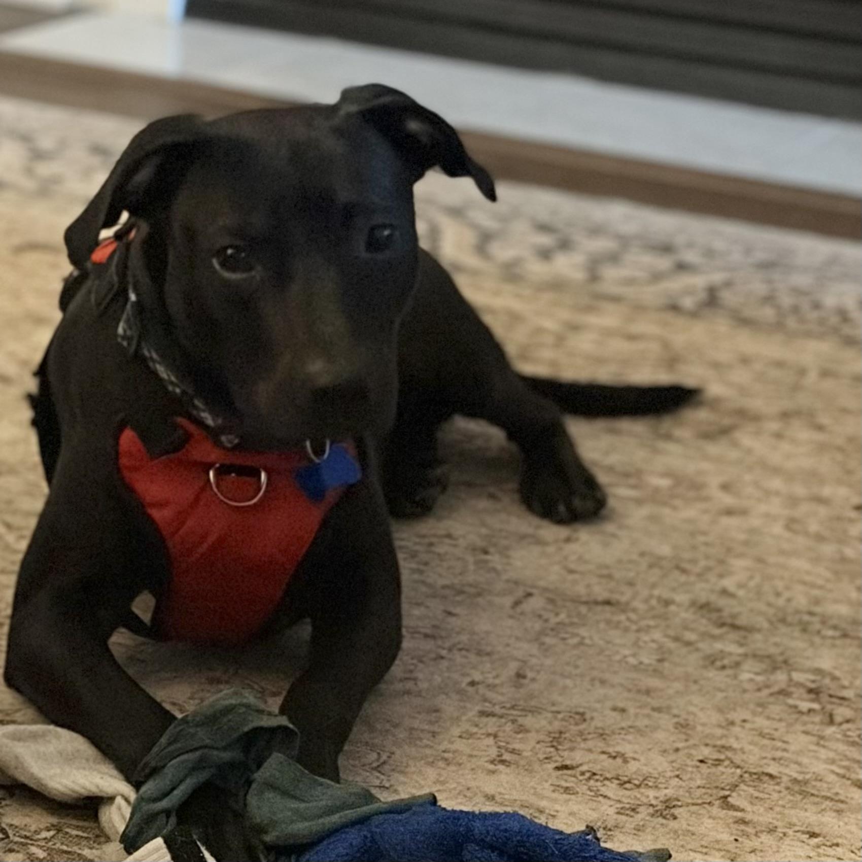 Vista — thumbnail 6