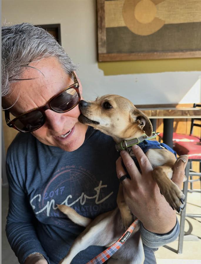 Enlarge Bucky, a Adoptable mixed breed in Boulder, CO image 4/5