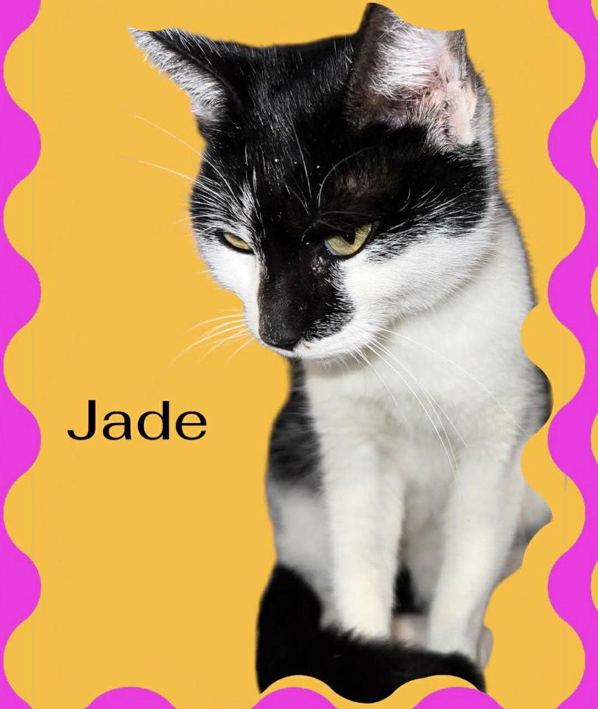 Jade
