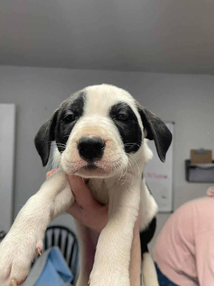 Russian — thumbnail 3