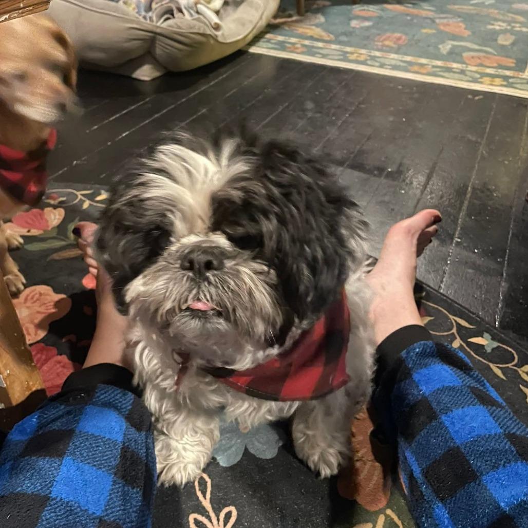 Schweppes thumbnail 3