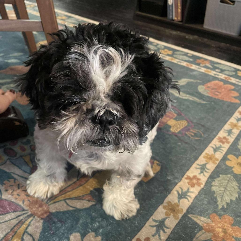 Schweppes thumbnail 4