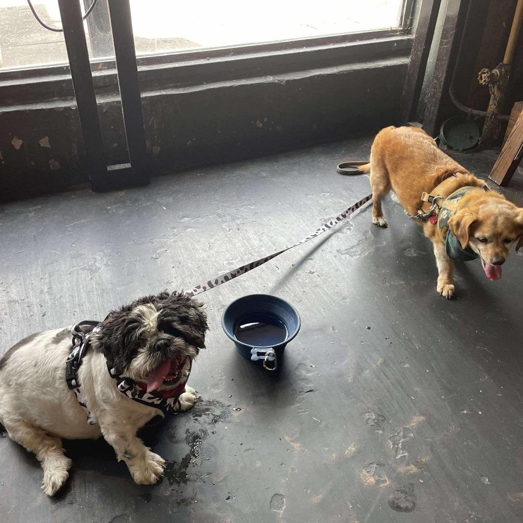 Schweppes thumbnail 5