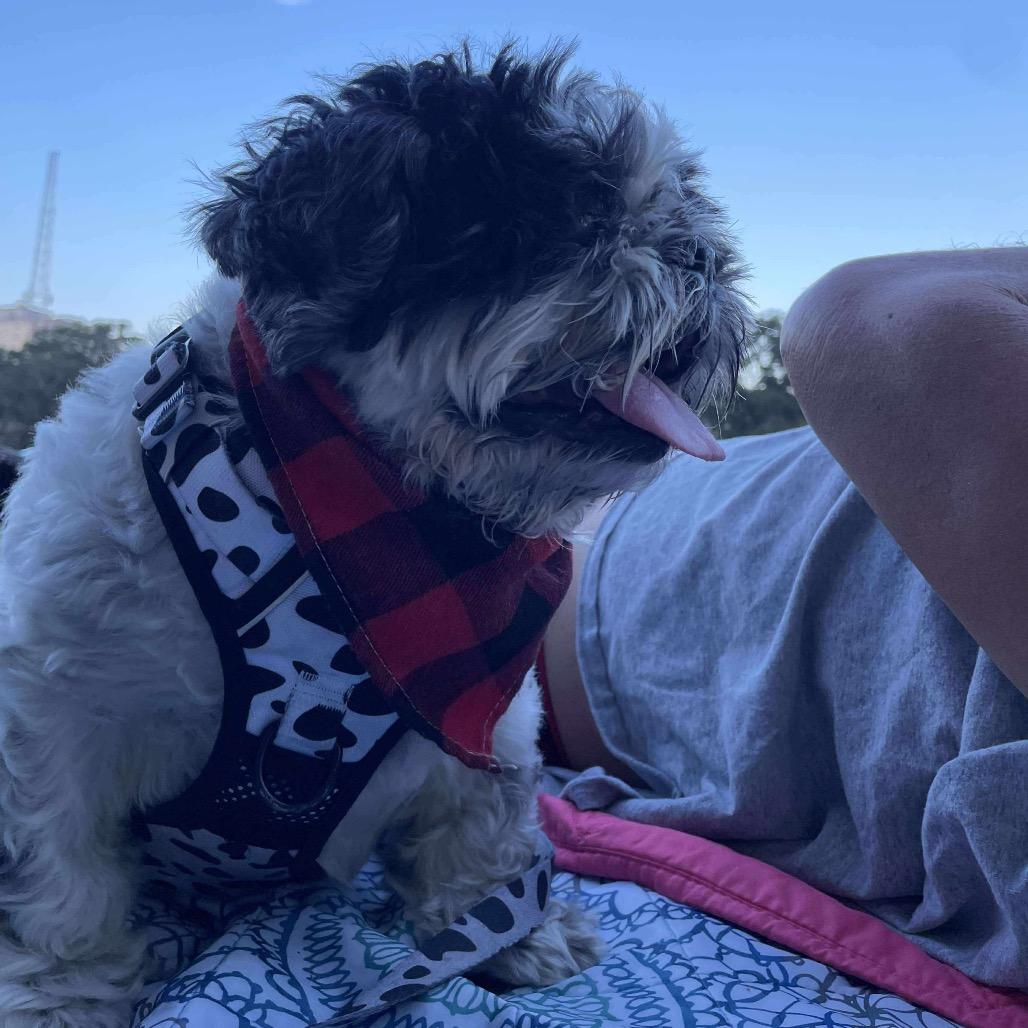 Schweppes thumbnail 6