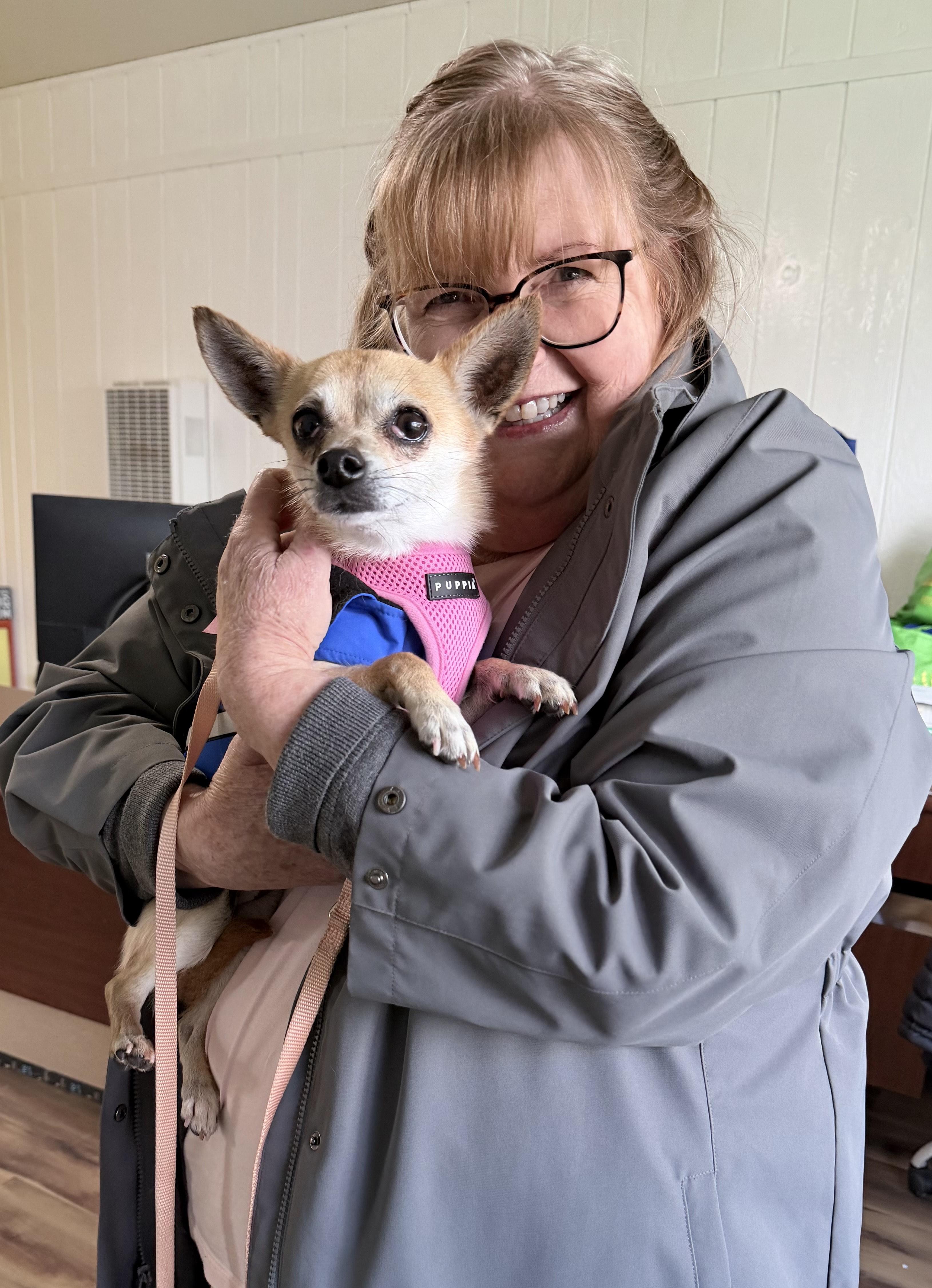 Tater, an adopted mixed breed in Santa Rosa, CA image 4/5