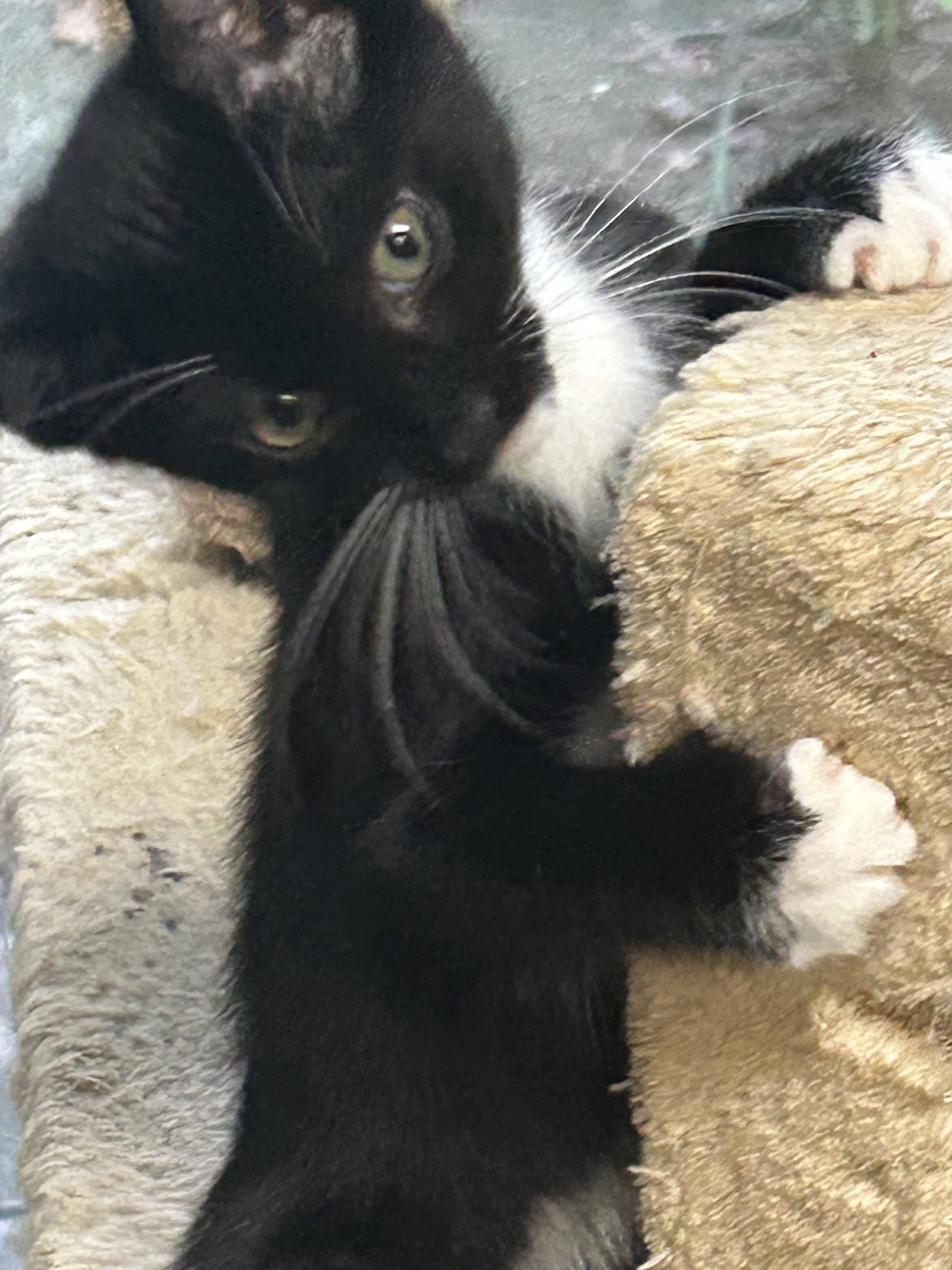 Morty photo 3