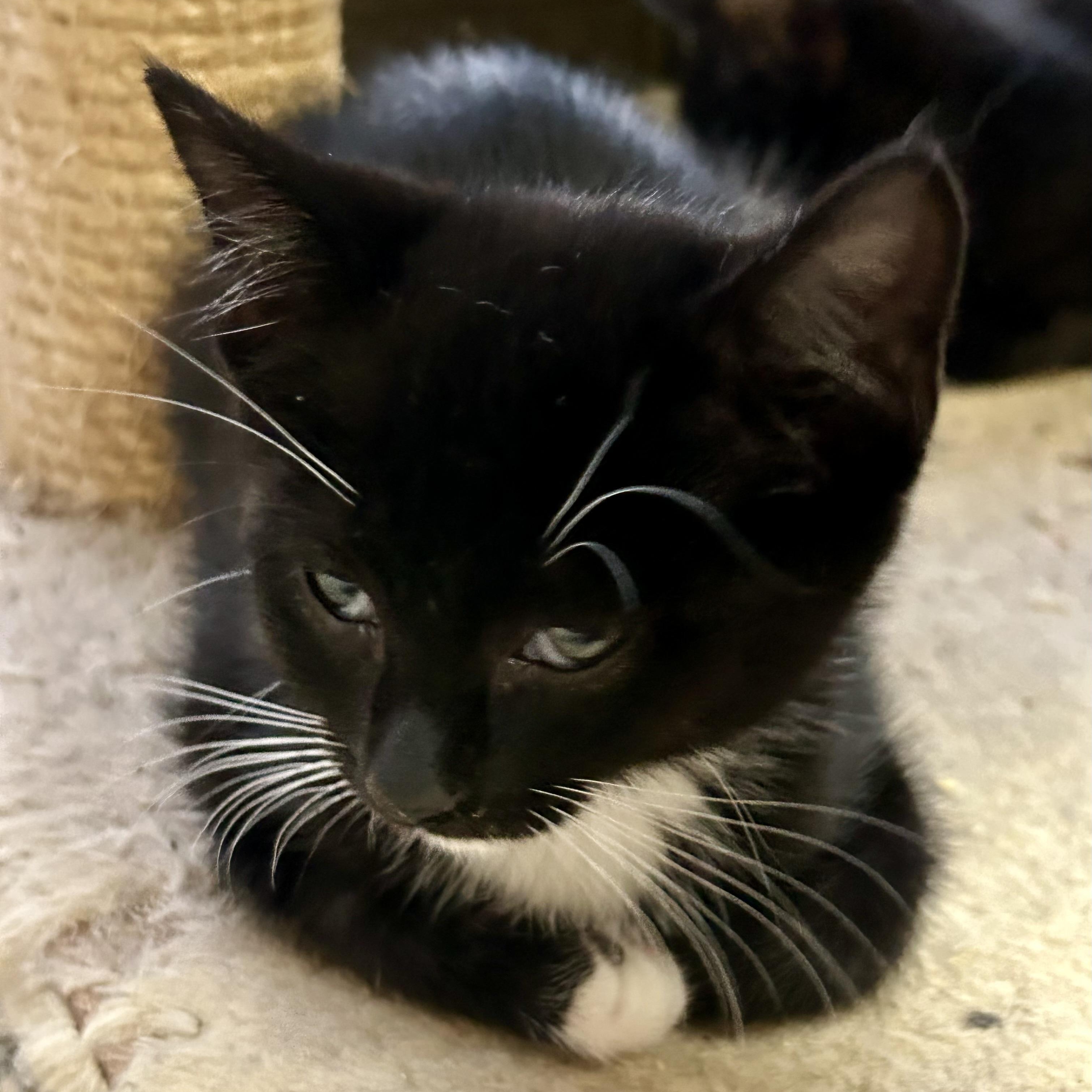 Morty photo 2