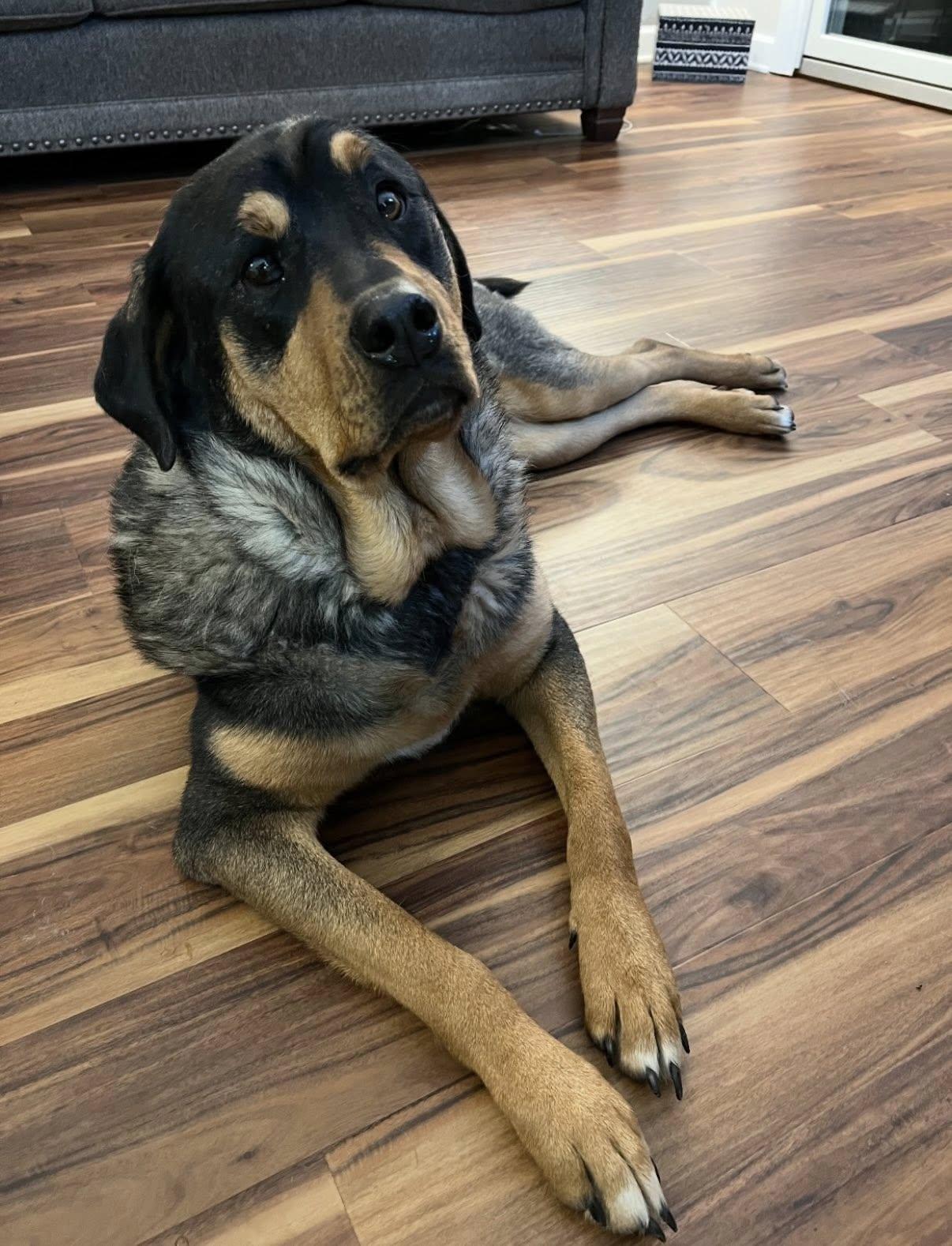 Mavis and Hayes - URGENT