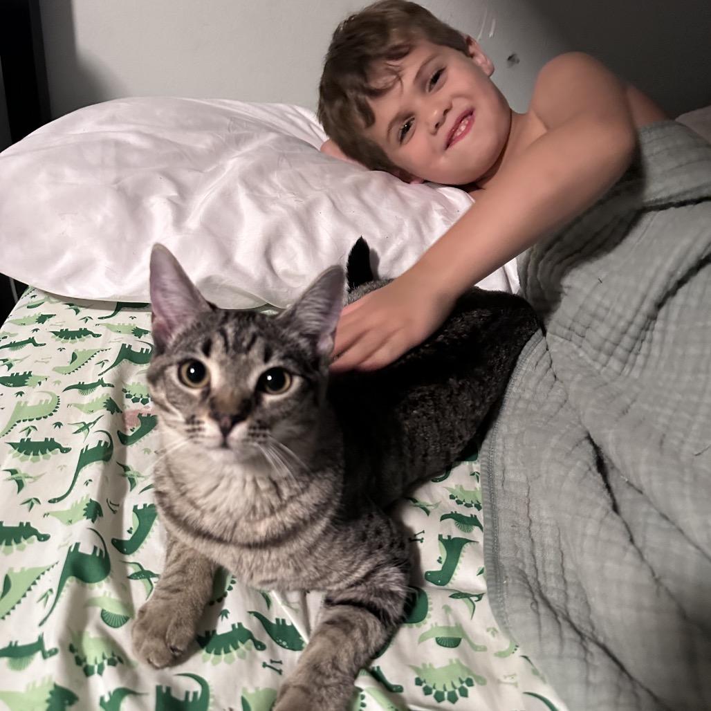 Myrtle, a Adoptable mixed breed in Houston, TX image 6/6