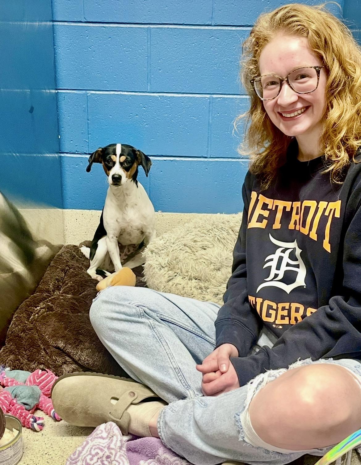 Enlarge Matilda, a Adoptable Rat Terrier in South Lyon, MI image 6/6