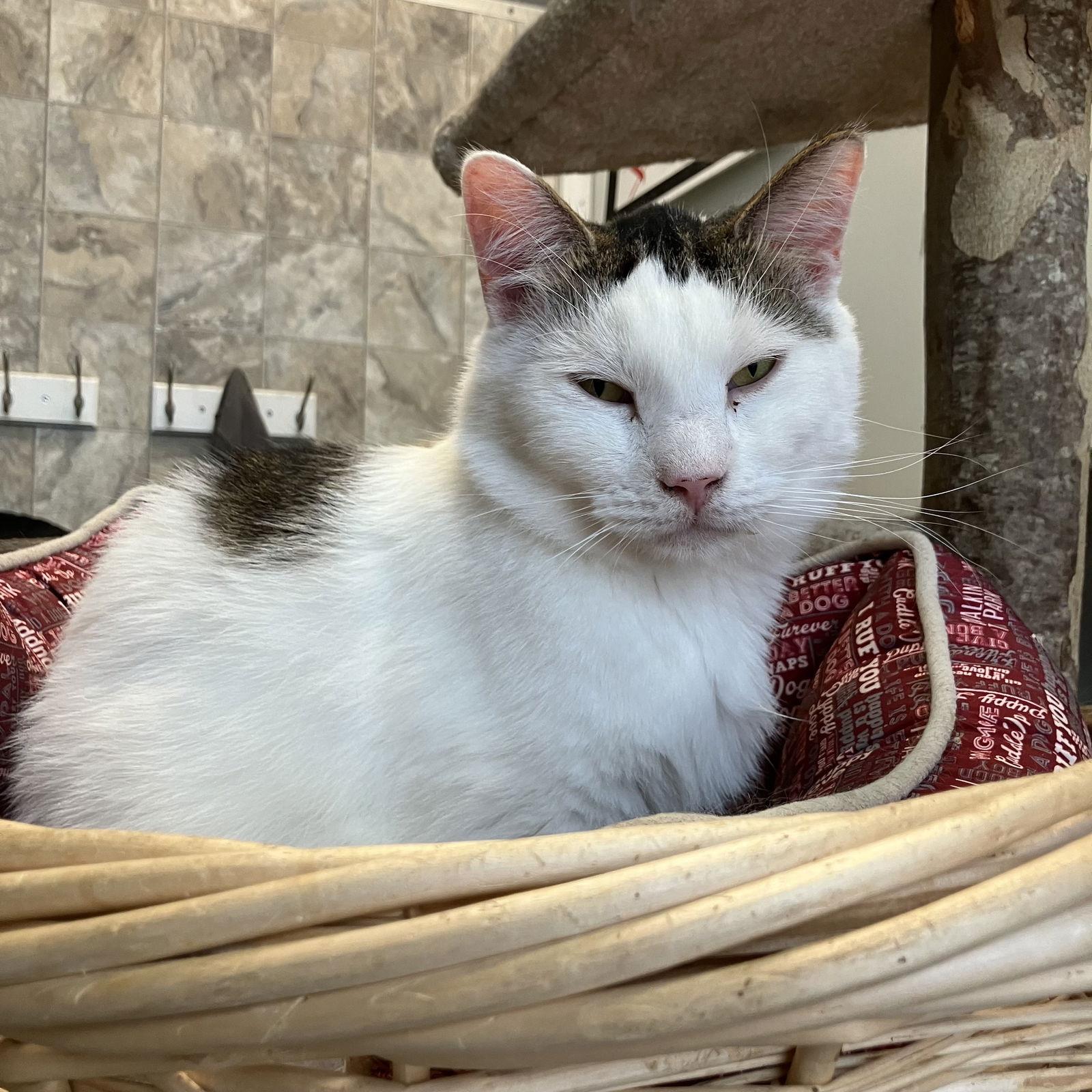 Walter — thumbnail 2