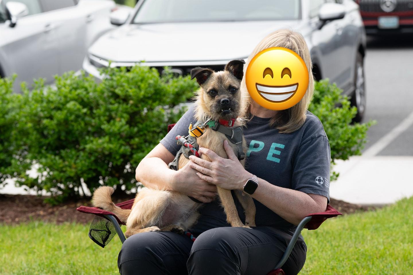 Enlarge Damon, a Adoptable mixed breed in Silver Spring, MD image 2/6