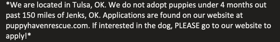 Jonah, a ADOPTABLE mixed breed in Bixby, OK image 2/6