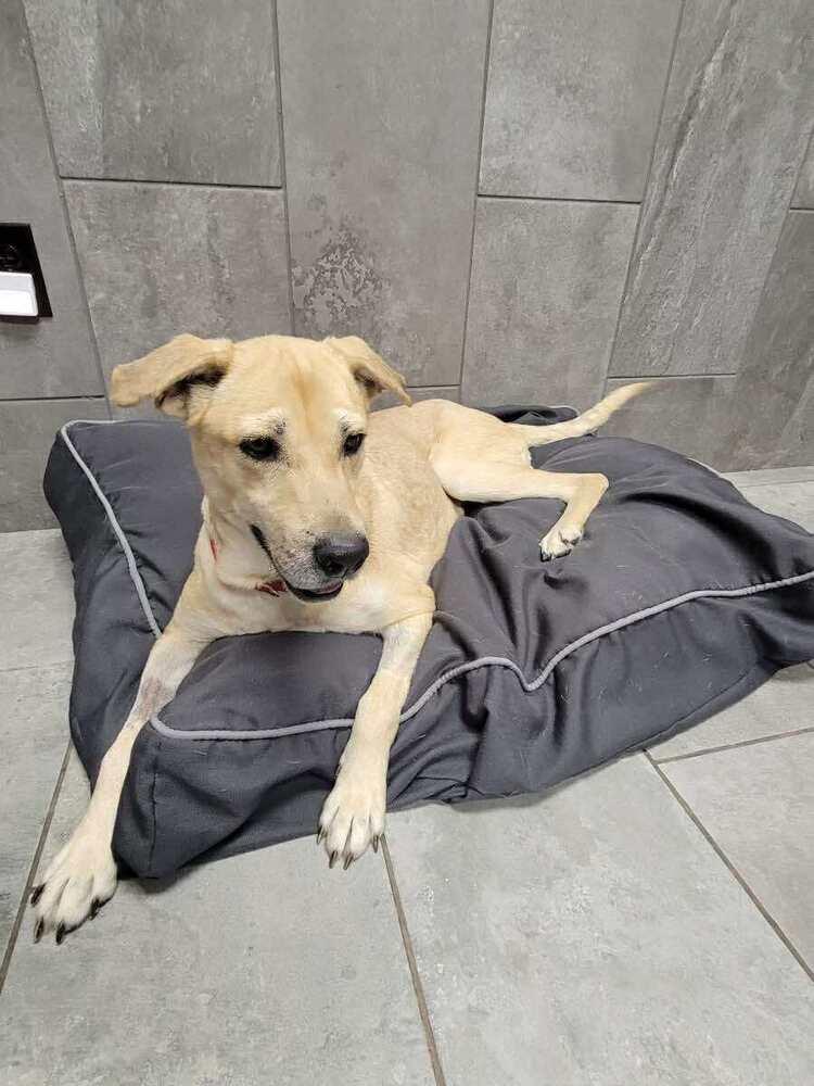 Rosalie Tx thumbnail 2