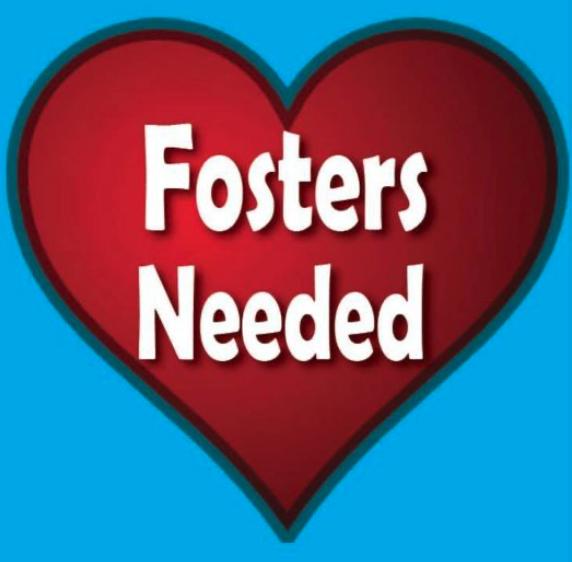 Calling All Dog Lovers!!!!