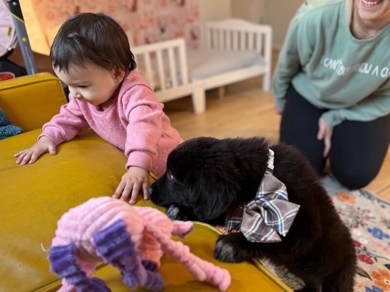 Buddy Fluffball thumbnail 5