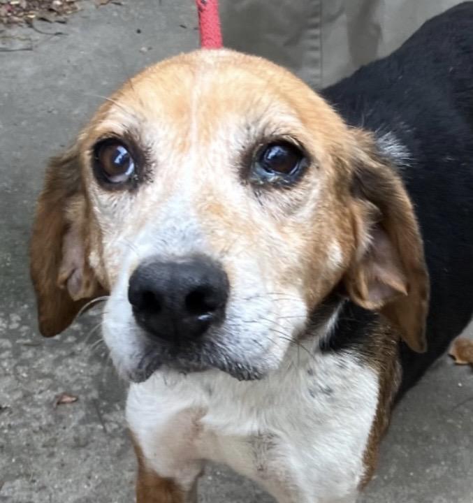 Loretta Lynn thumbnail 2