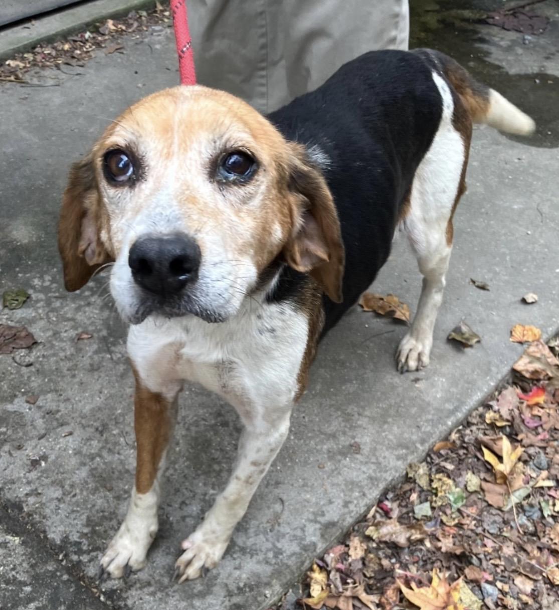 Loretta Lynn thumbnail 3