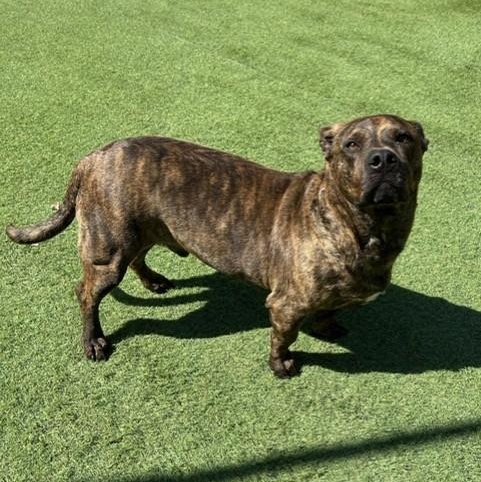 Fletcher photo 4