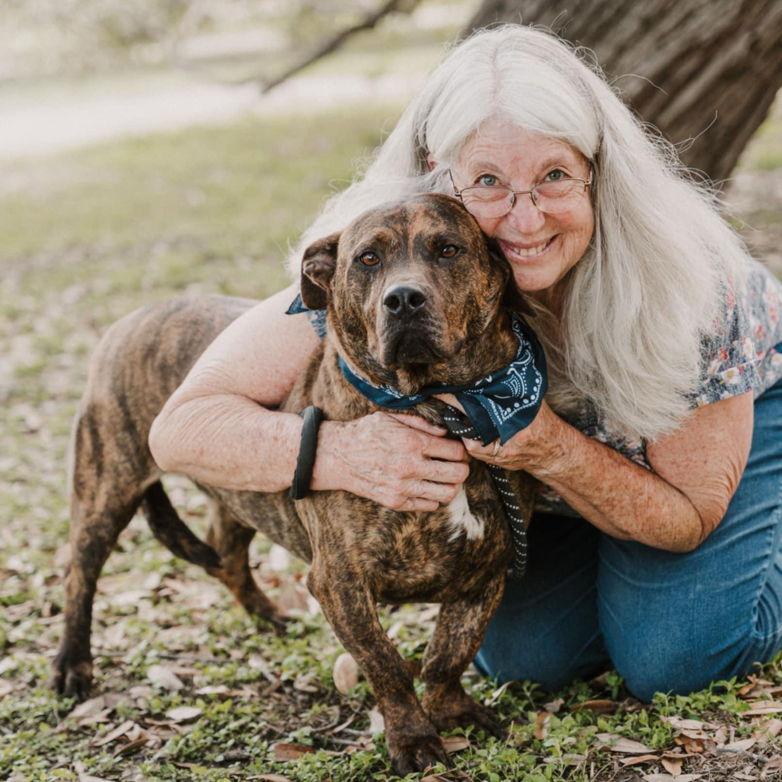 Fletcher, a Adoptable mixed breed in Williston, VT image 3/6