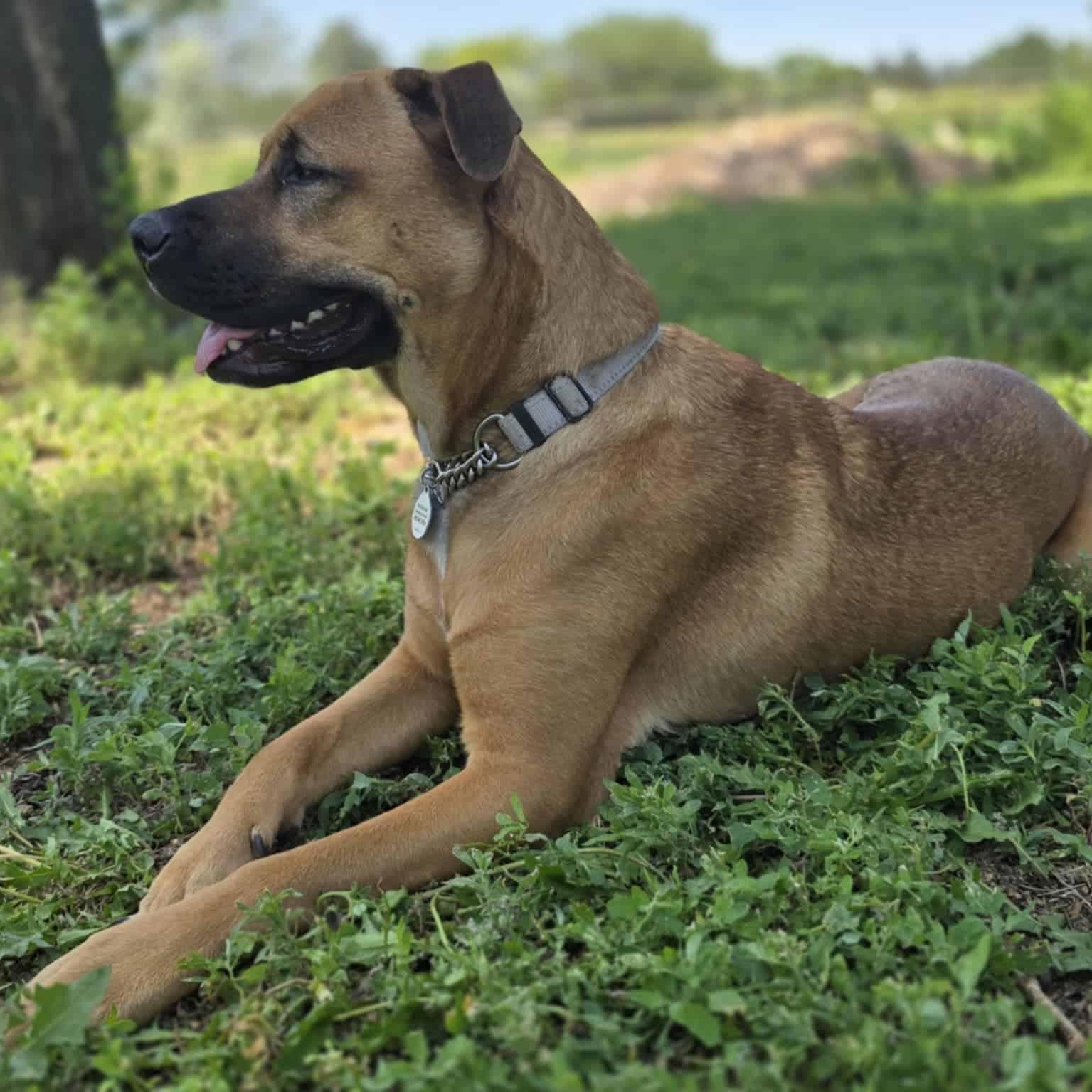 Annie