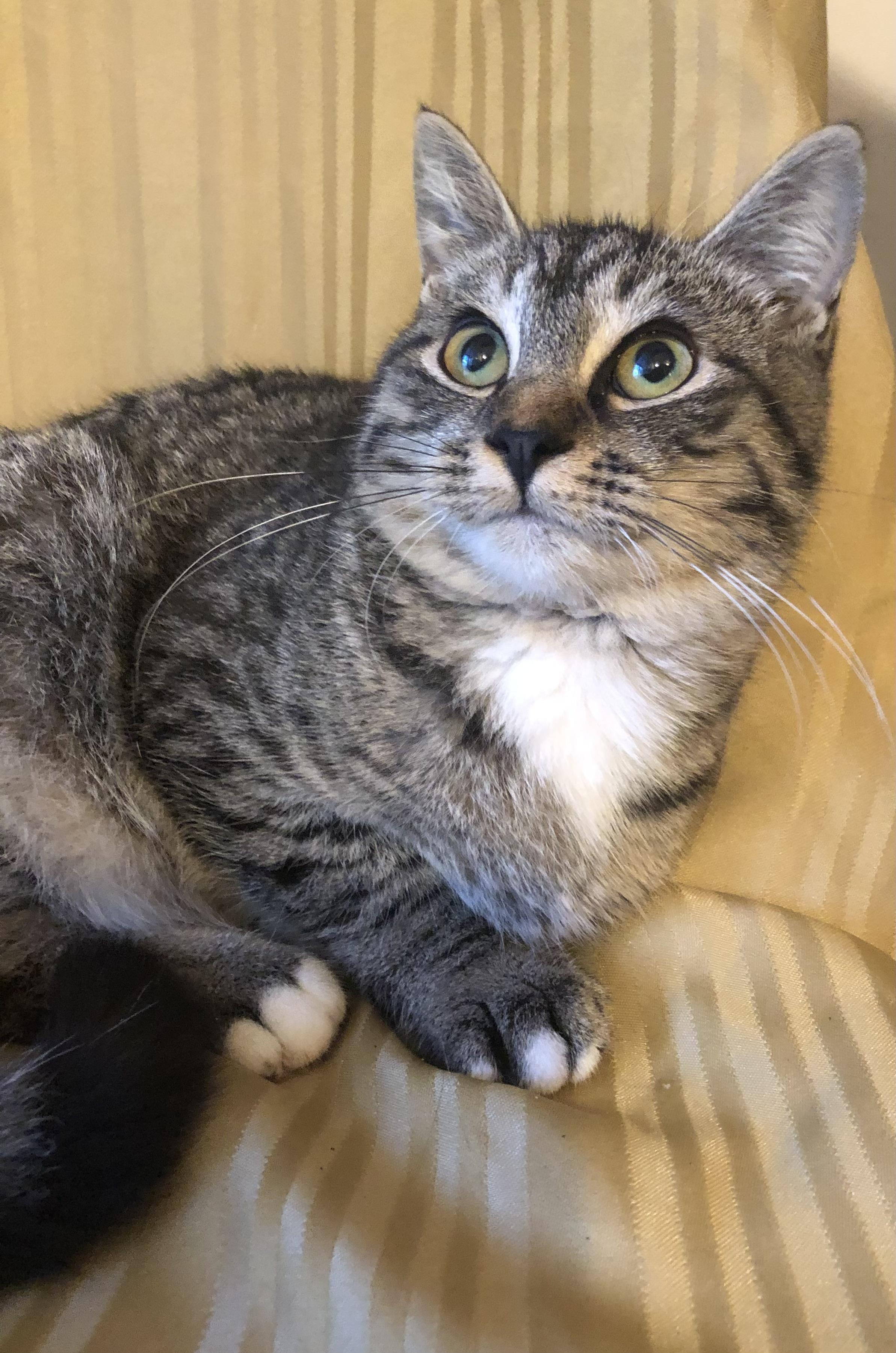 Whiskers — thumbnail 2