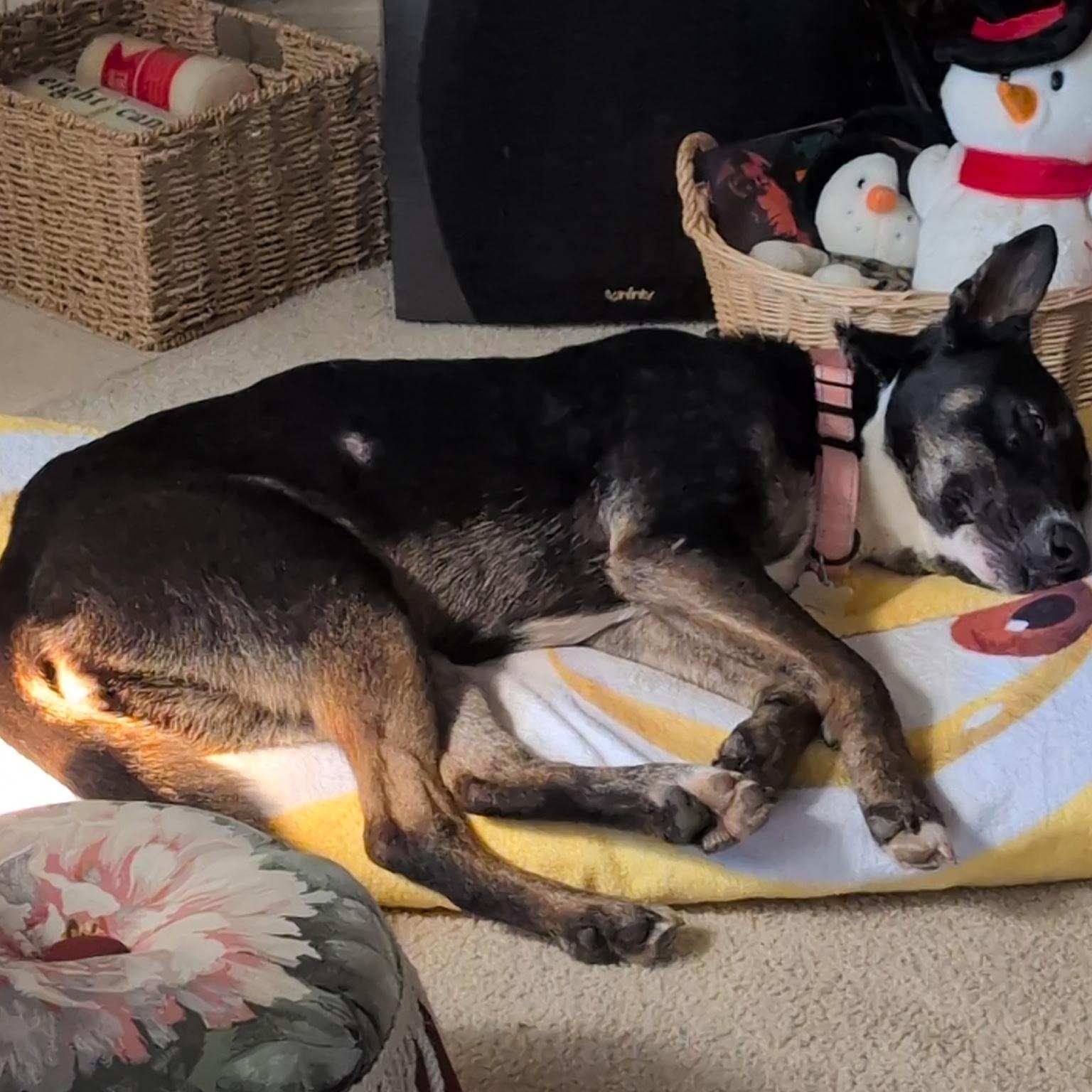 Lill — thumbnail 2