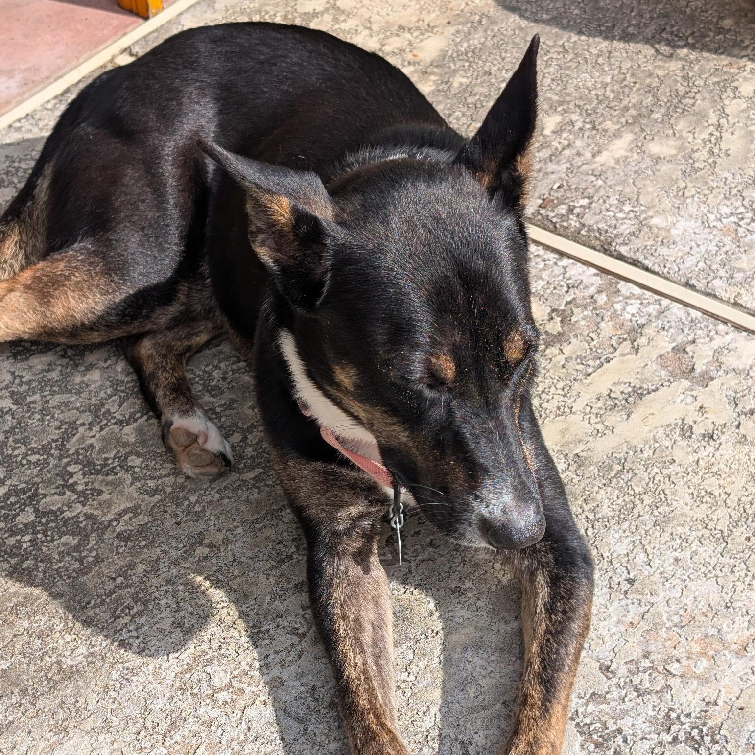 Lill — thumbnail 4