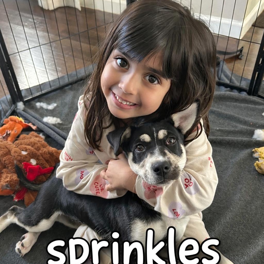 Sprinkles FKA Aespa K Pop — thumbnail 3