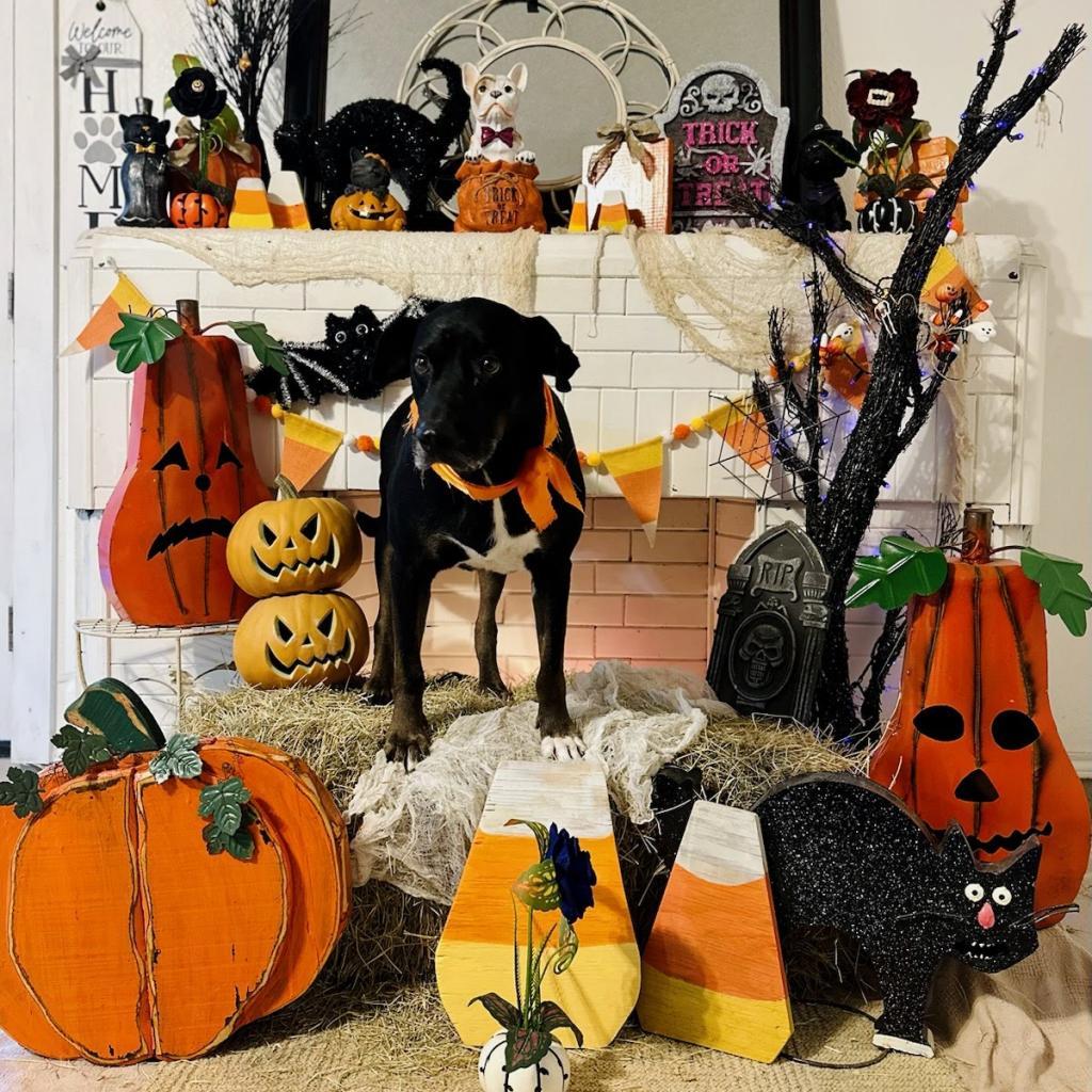 Ledger — thumbnail 2