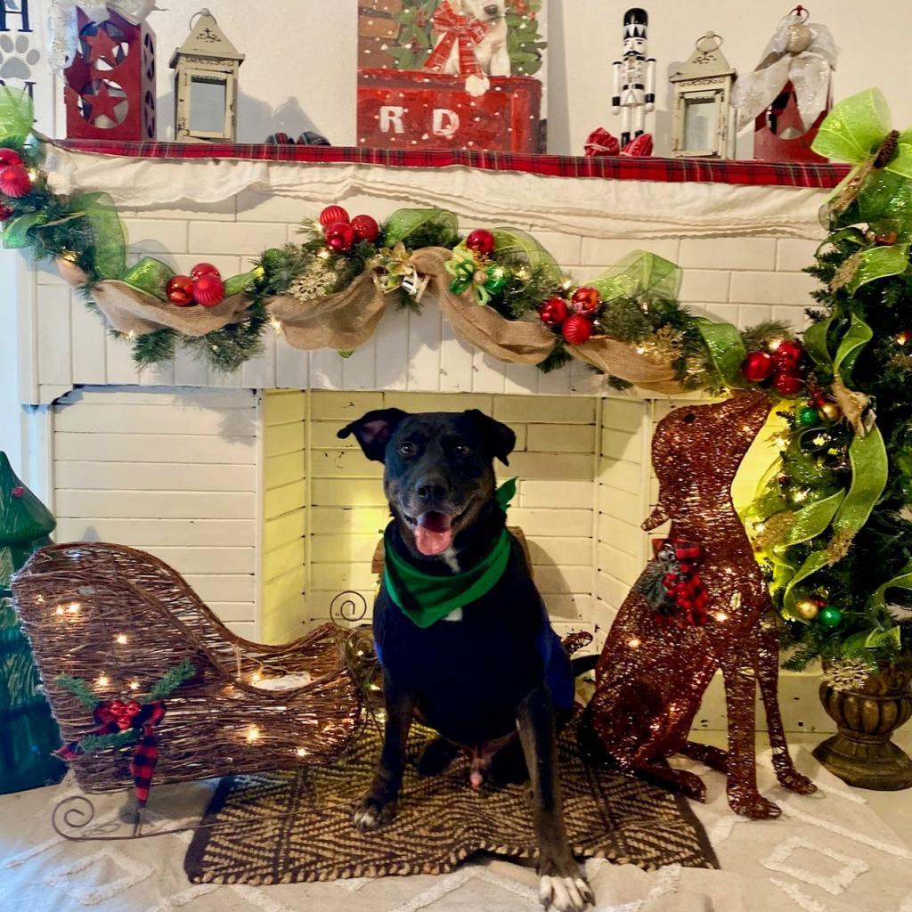 Ledger — thumbnail 3