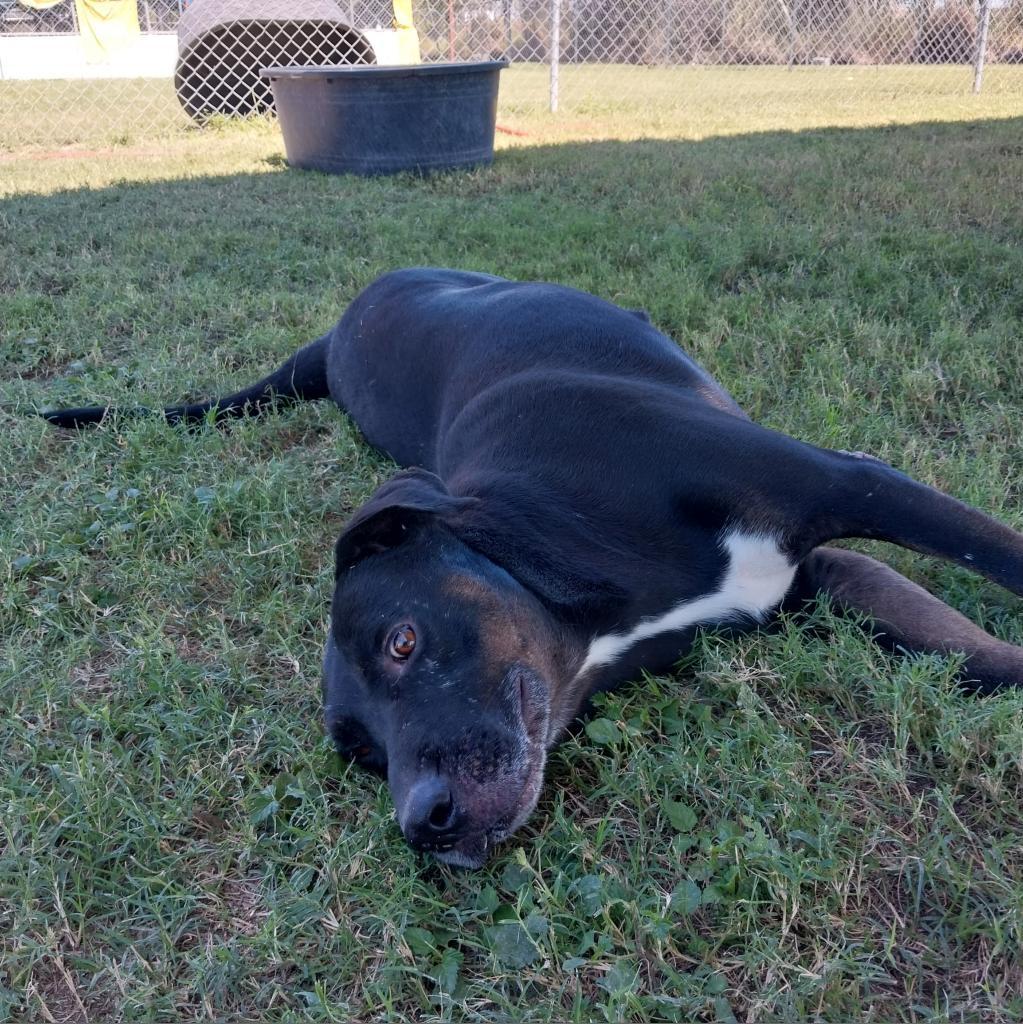 Ledger — thumbnail 4