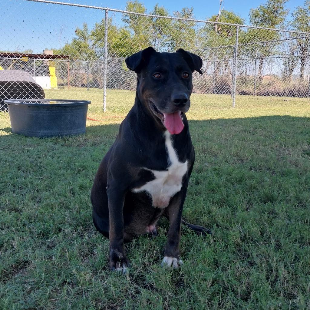 Ledger — thumbnail 6