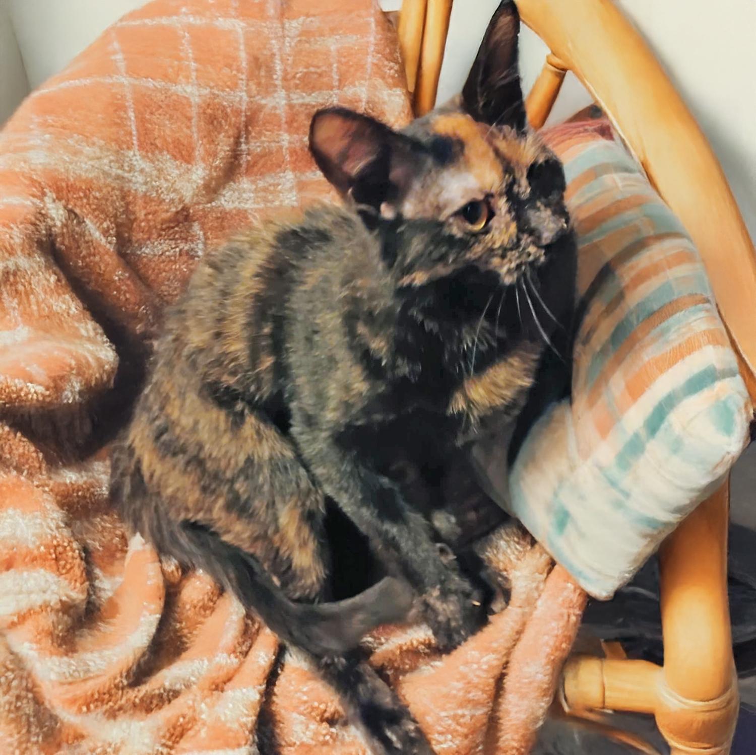 Carmen W thumbnail 2