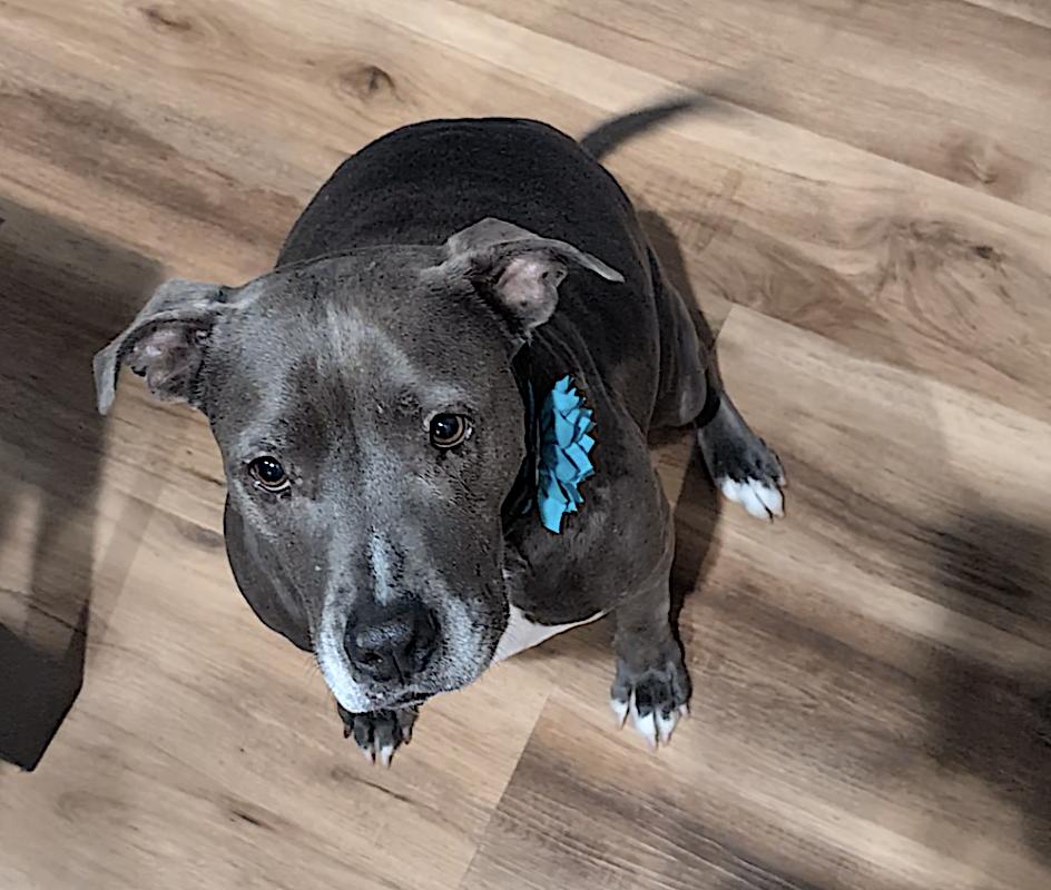 Cindy — thumbnail 3