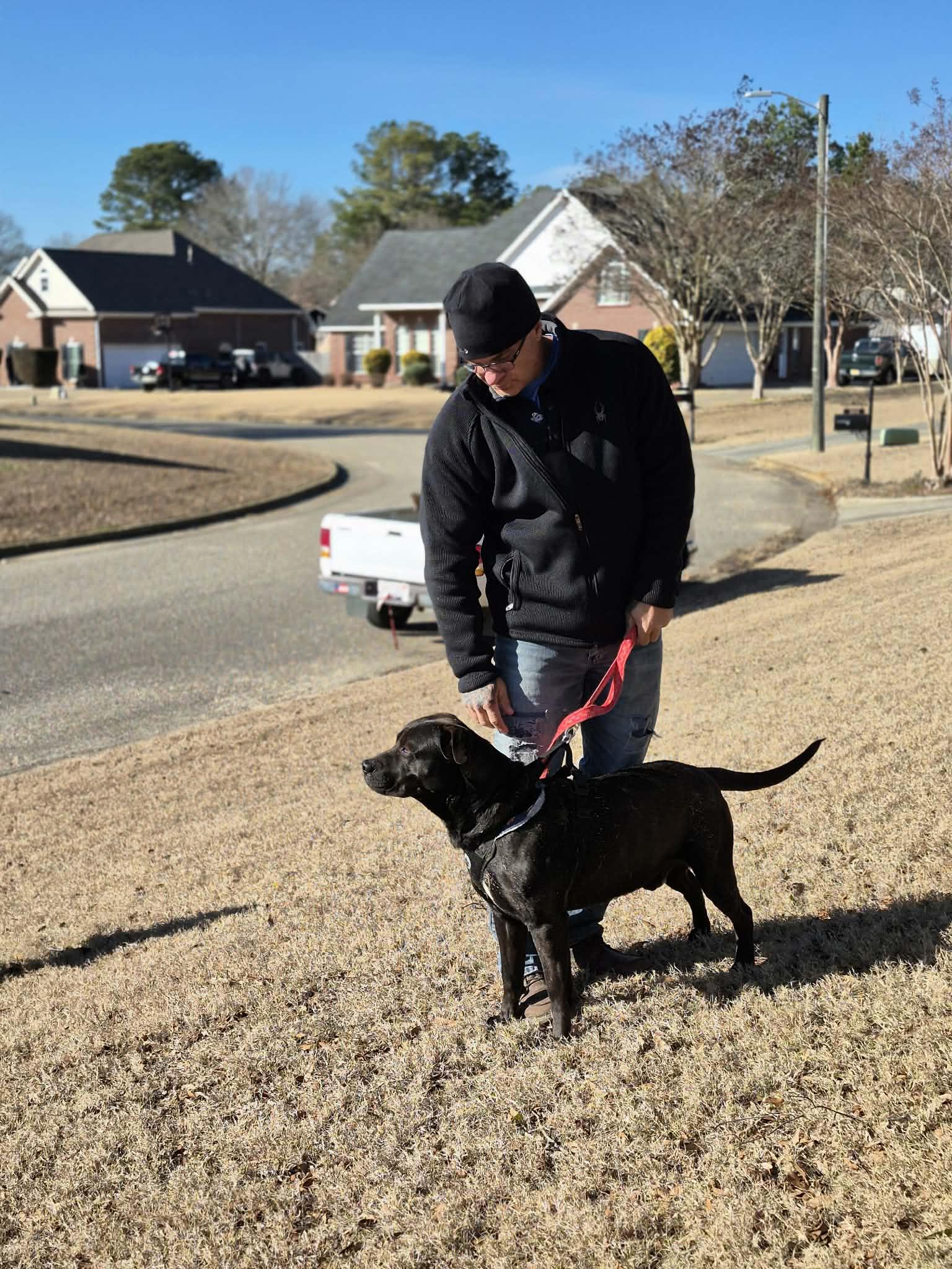 Enlarge Louie - Purebred Lovehound/Lab/Retriever Mix, House Trained, Dog Friendly, Up to date on Shots, a Adoptable mixed breed in Chattanooga, TN image 1/3