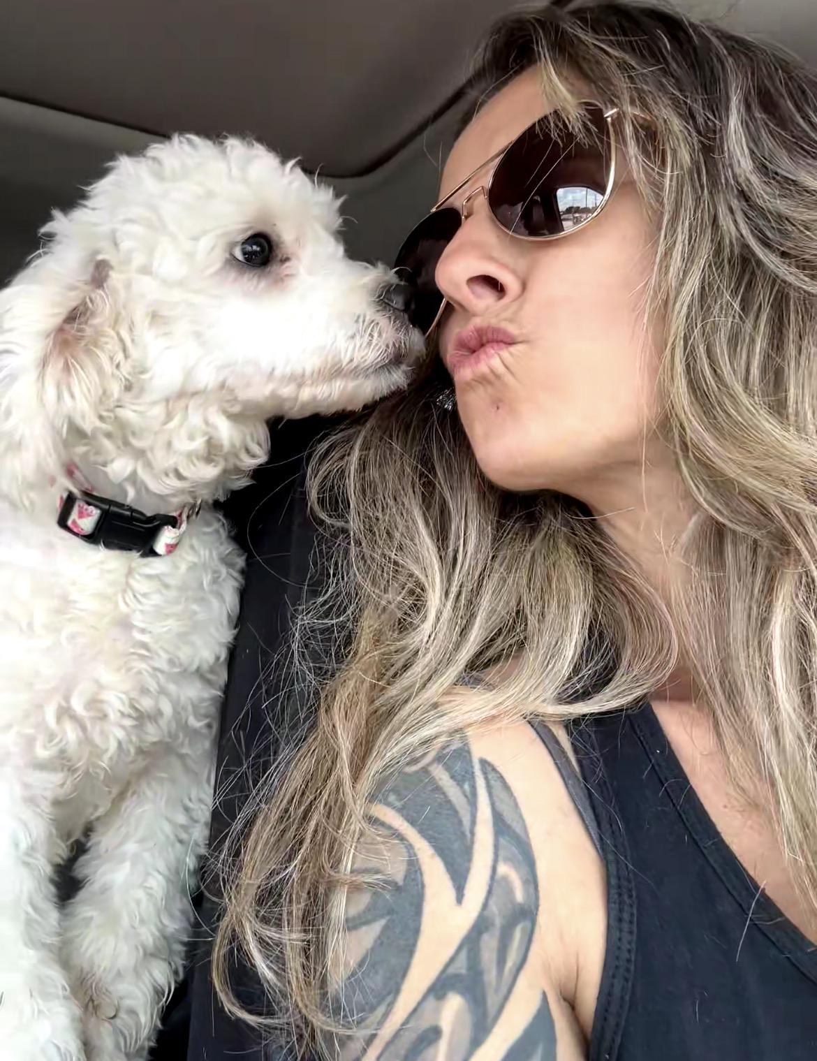 Enlarge Louis, a Adoption Pending Miniature Poodle in conroe, TX image 5/6